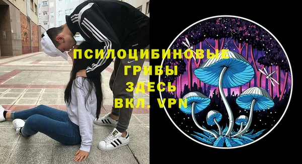 ECSTASY Абинск