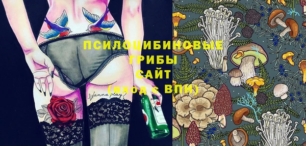 ПСИЛОЦИБИНОВЫЕ ГРИБЫ Верхнеуральск