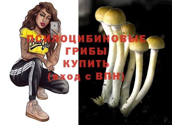 героин Алексин